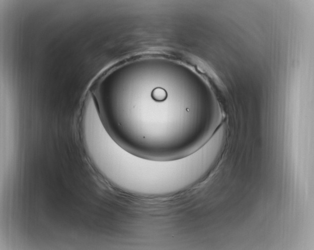 X0000115561260200911131619