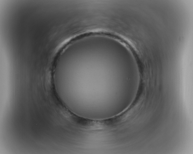 X0000115561263200911131619
