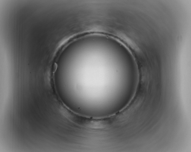 X0000115561264200911131619