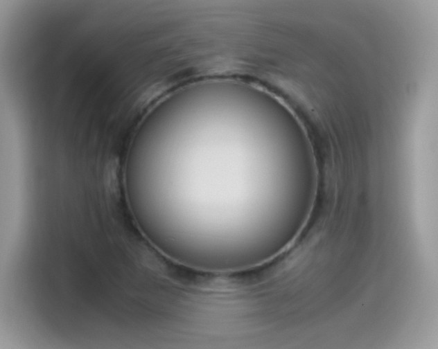 X0000115561265200911131619