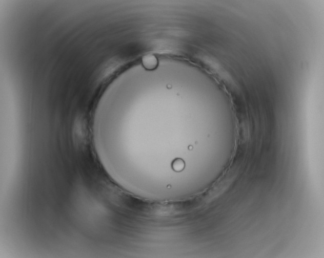 X0000115561266200911131619