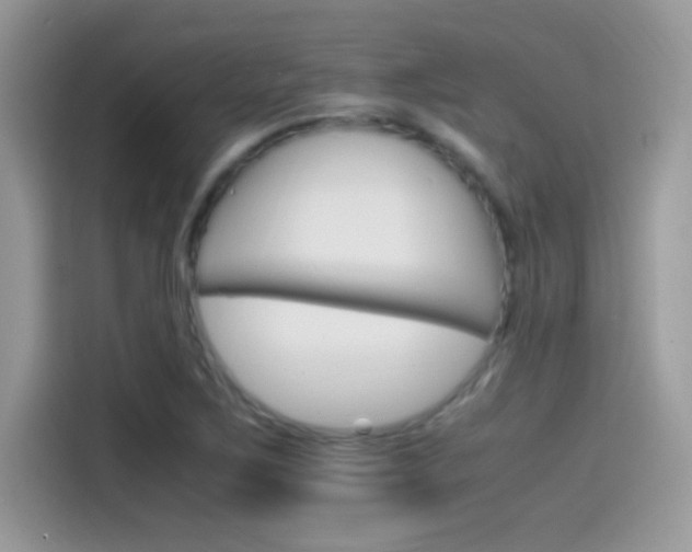 X0000115561267200911131619
