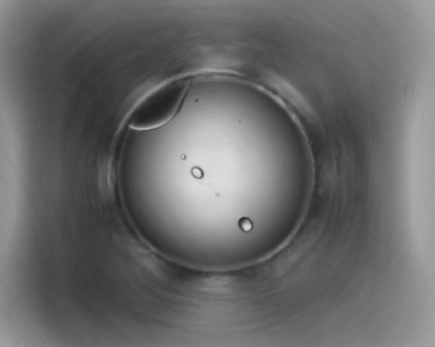 X0000115561268200911131619