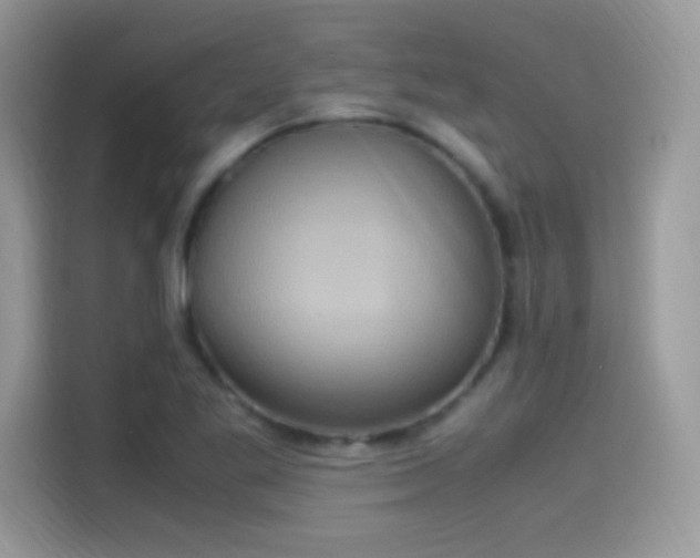X0000115561269200911131619