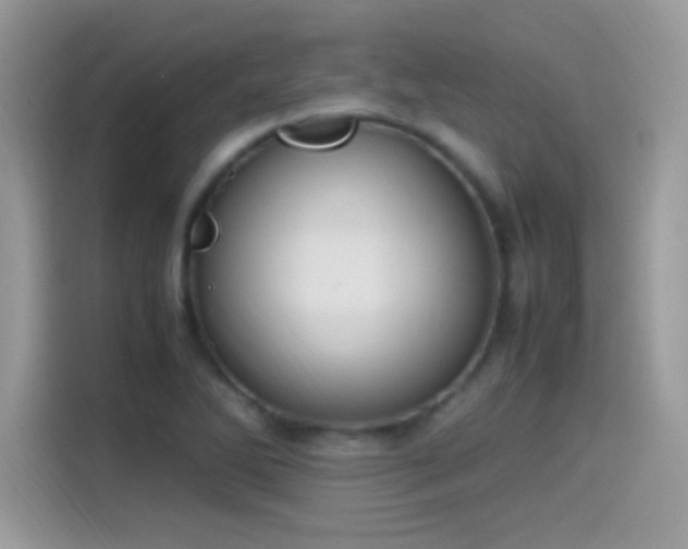 X0000115561270200911131619