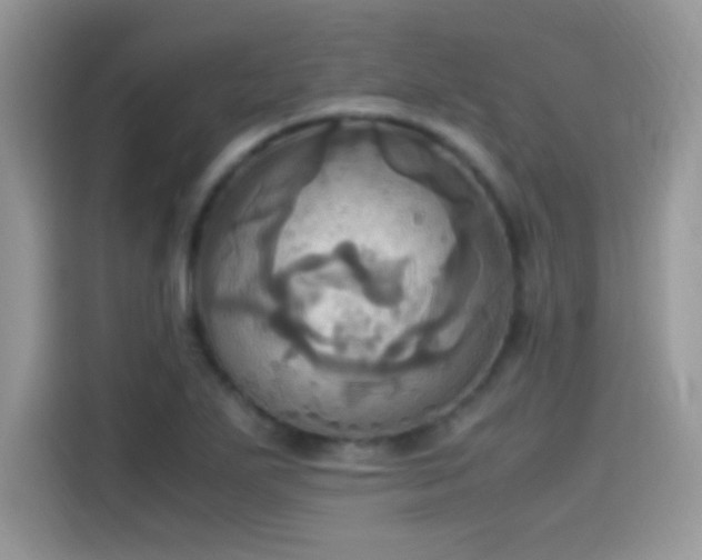 X0000115561271200911131619