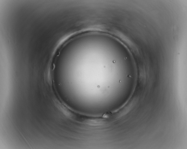 X0000115561272200911131619