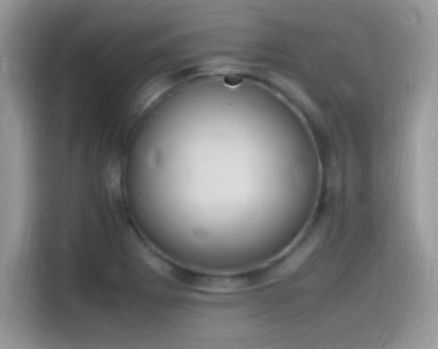 X0000115561273200911131619