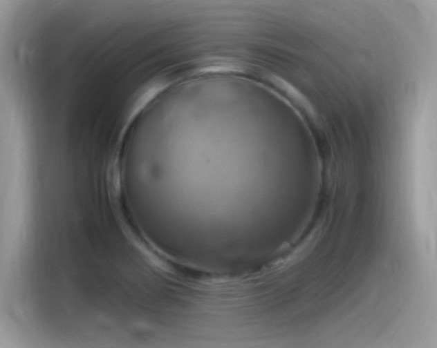 X0000115561274200911131619