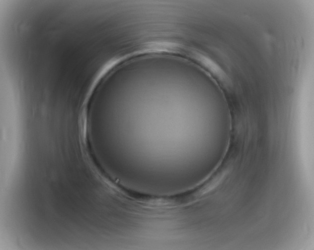 X0000115561275200911131619