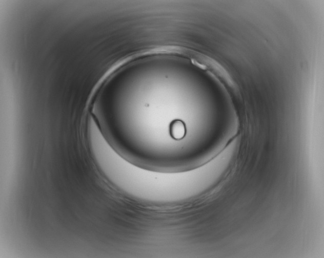 X0000115561276200911131619