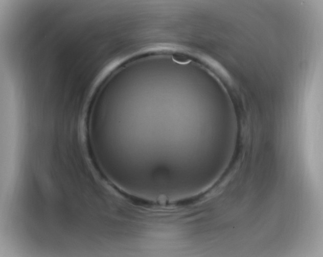 X0000115561279200911131619