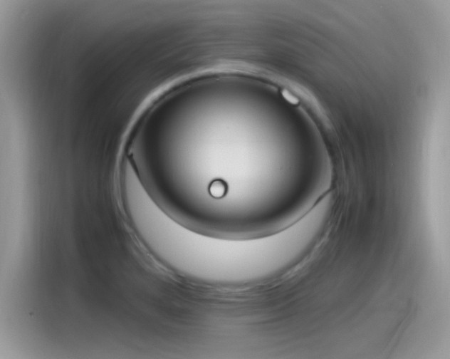 X0000115561280200911131619