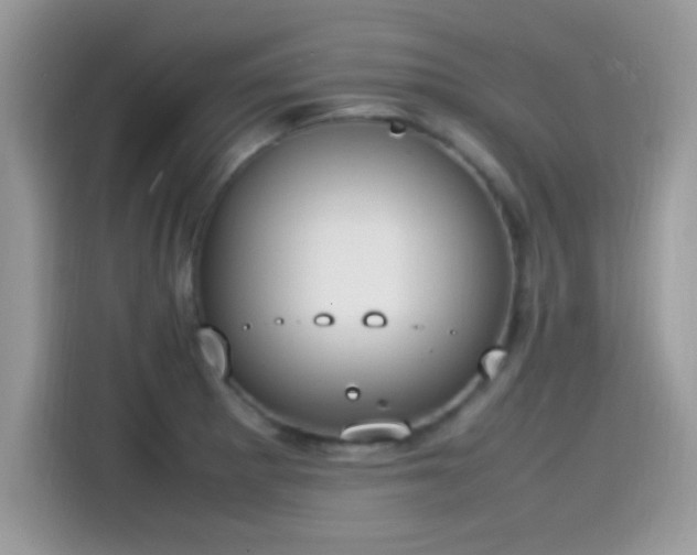 X0000115561281200911131619