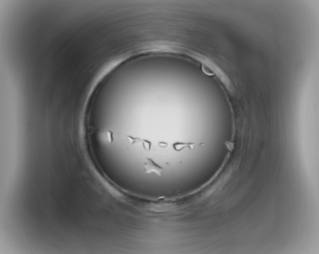 X0000115561285200911131619