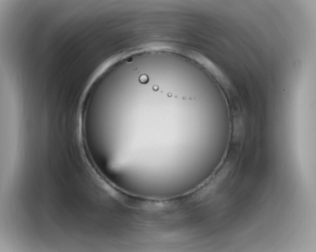 X0000115561286200911131619