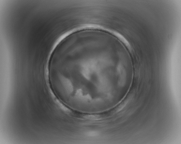 X0000115561287200911131619