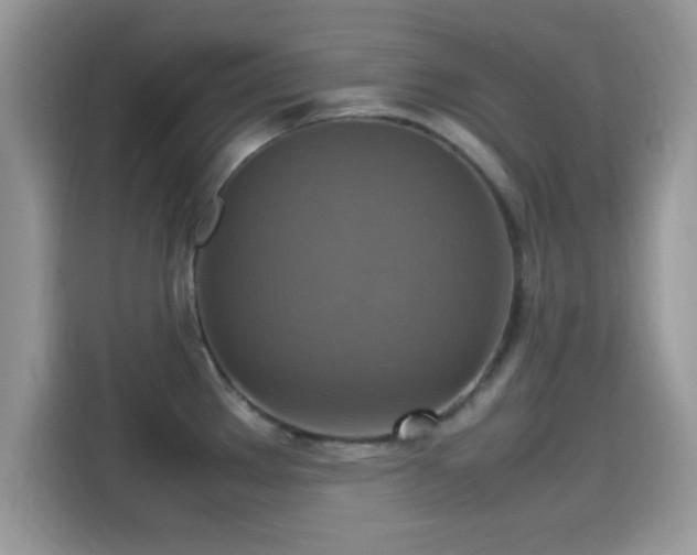 X0000115561289200911131619
