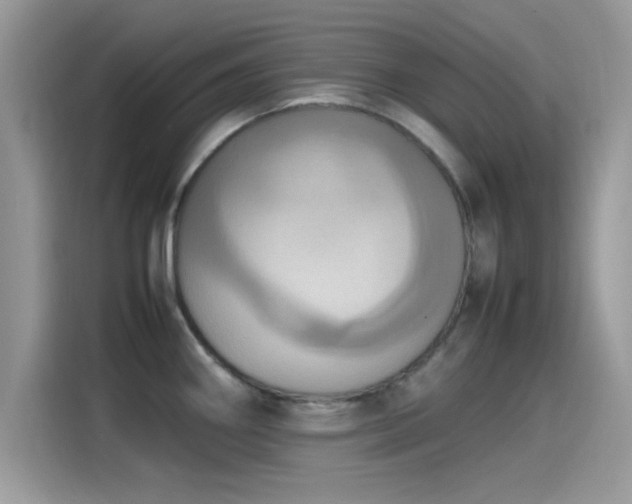 X0000115561290200911131619