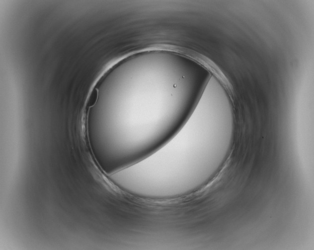 X0000115561292200911131619