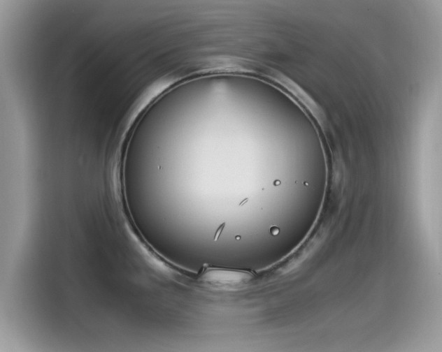 X0000115561293200911131619