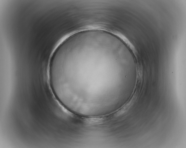 X0000115561294200911131619