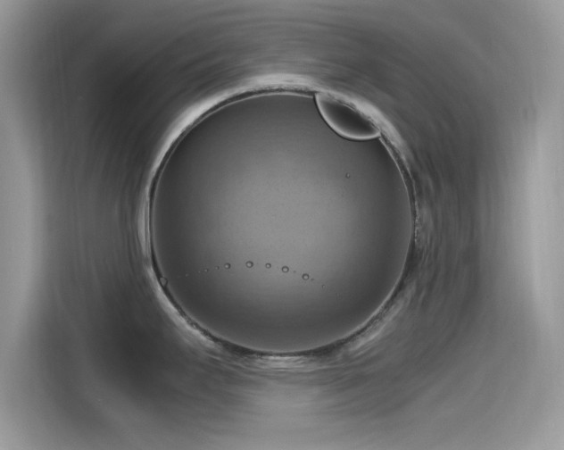 X0000115561295200911131619