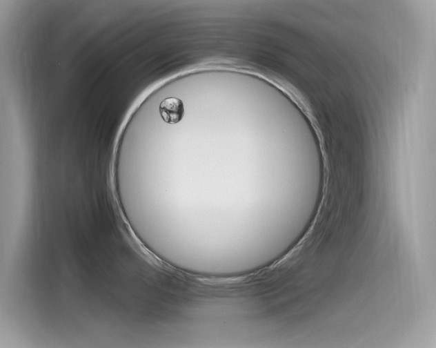 X0000115561296200911131619