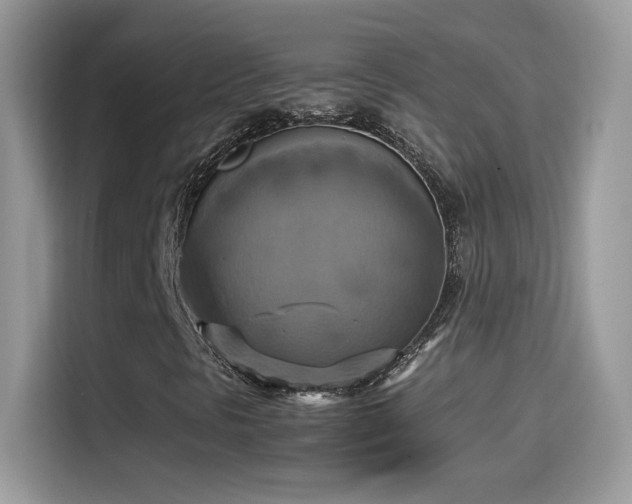 X0000115561297200911131618