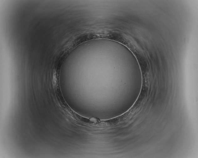 X0000115561298200911131618
