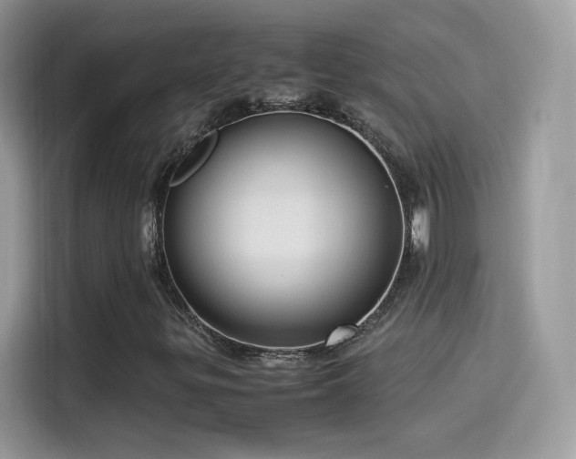 X0000115561299200911131618