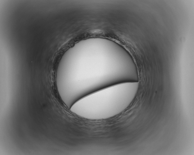 X0000115561301200911131618