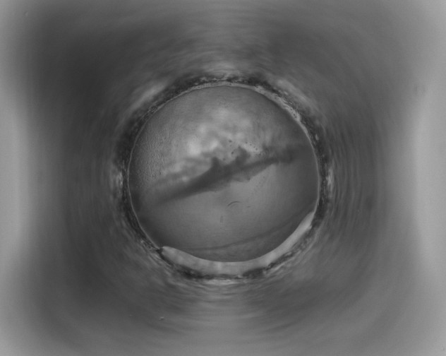 X0000115561302200911131618