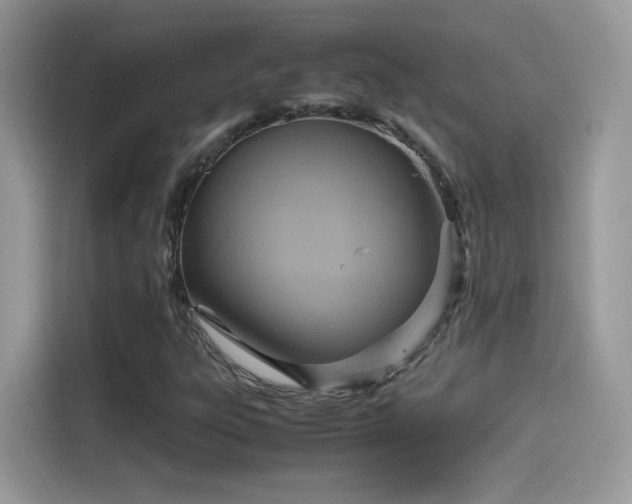 X0000115561303200911131618