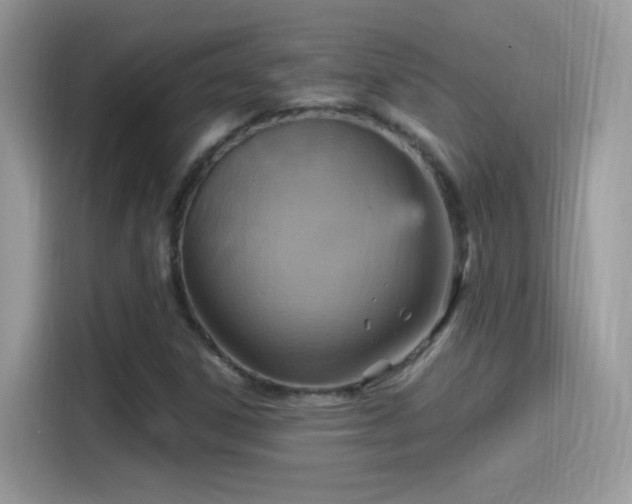 X0000115561306200911131618