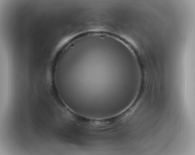 X0000115561311200911131618