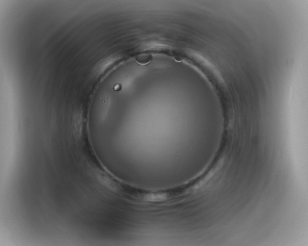 X0000115561313200911131618