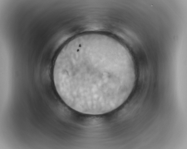 X0000115561314200911131618