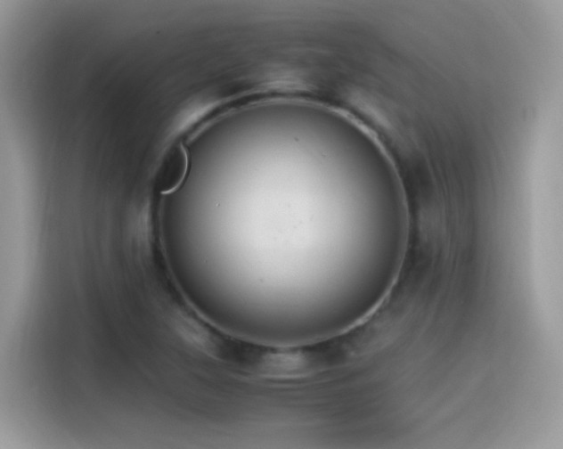 X0000115561315200911131618