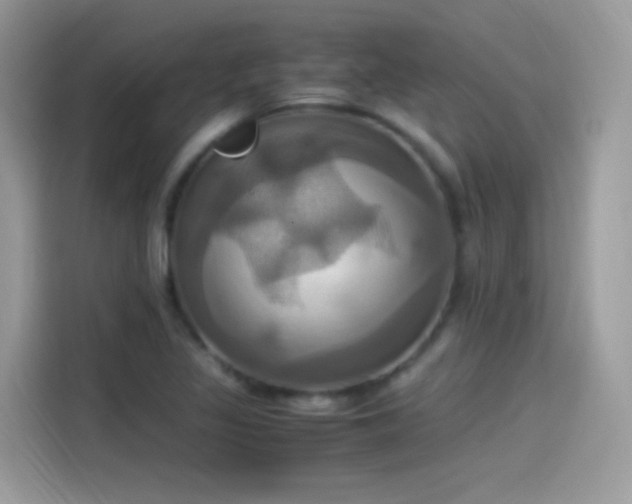 X0000115561317200911131618