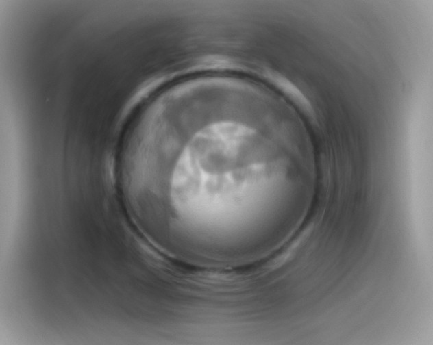 X0000115561318200911131618