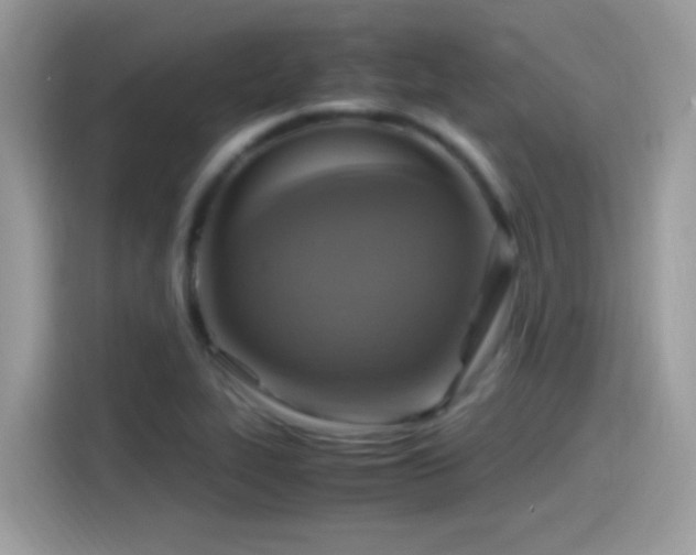 X0000115561319200911131618