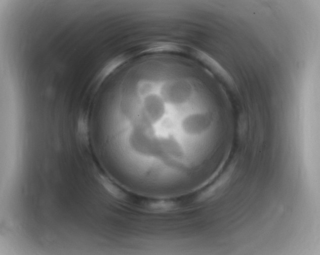 X0000115561321200911131618