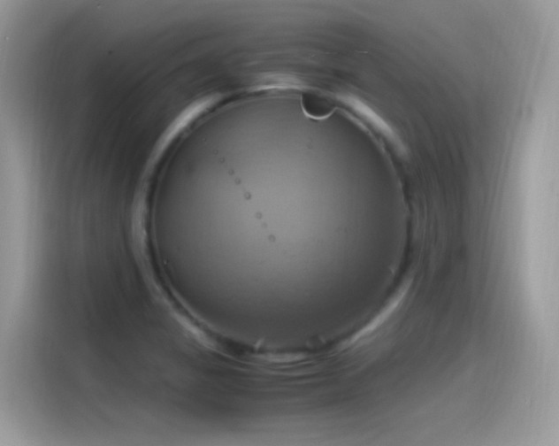 X0000115561325200911131618