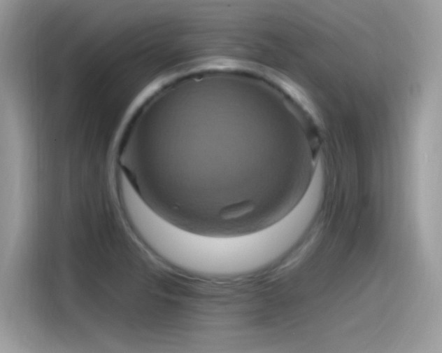 X0000115561326200911131618