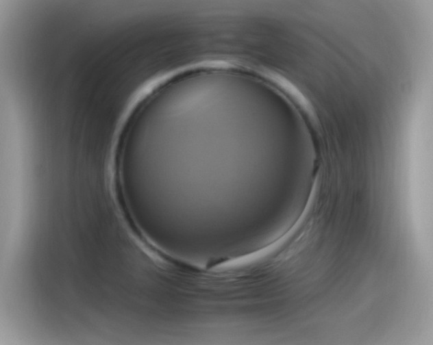 X0000115561327200911131618