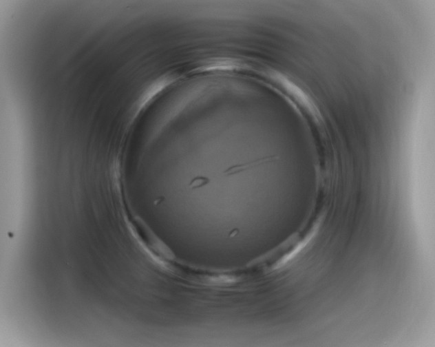 X0000115561329200911131618