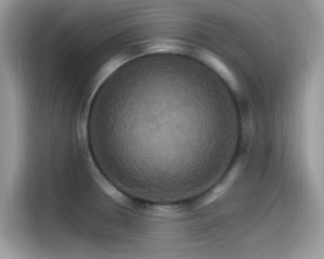 X0000115561330200911131618