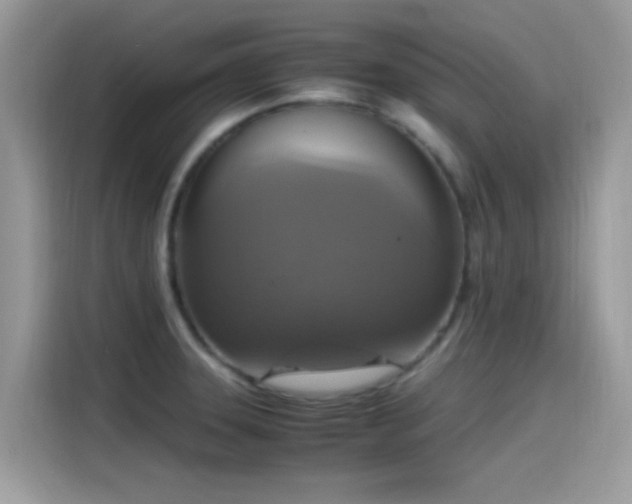 X0000115561331200911131618