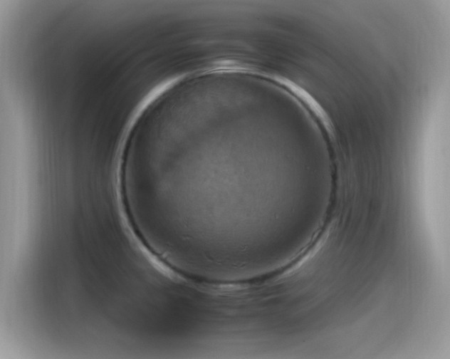 X0000115561333200911131619